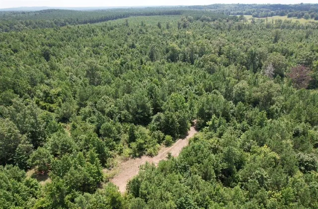 an aerial view of residential house with outdoor space
