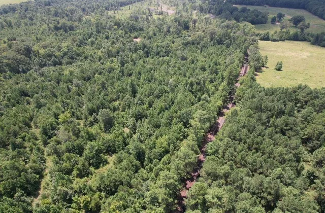 a view of a pathway with a yard