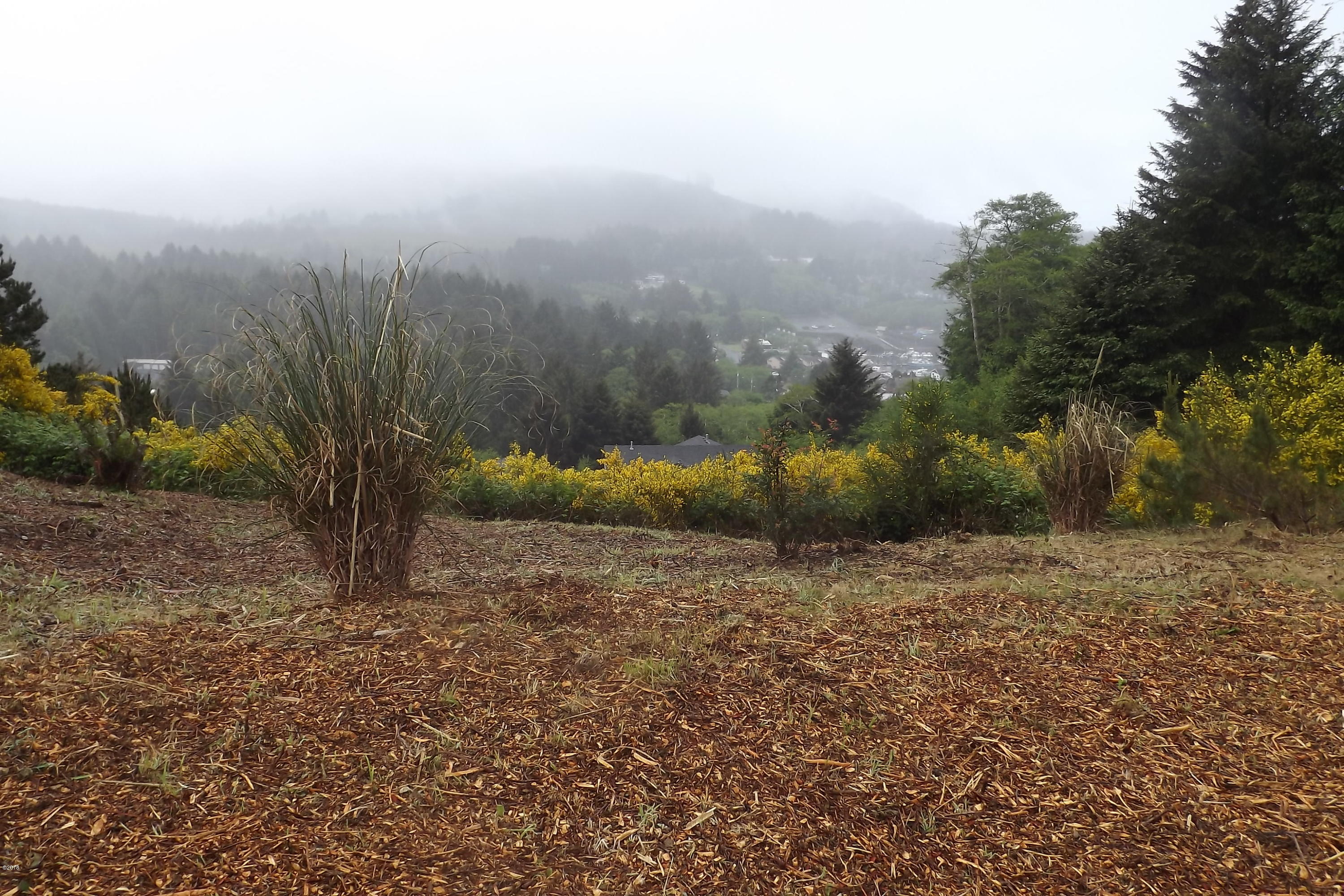 Lot 44 Spring Street Depoe Bay, OR 97341 - Photo 2 of 5 Lot with view