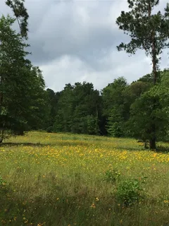 $375,000 | 200 Spring Ridge Road, Coldspring, TX 77331