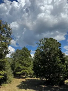 $375,000 | 200 Spring Ridge Road, Coldspring, TX 77331