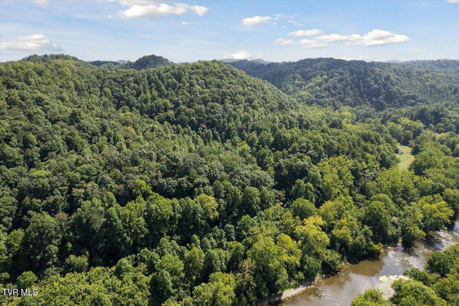 Tbd North Fork River Road, Unit 3 Abingdon, VA 24210 - Photo 28 of 34 *