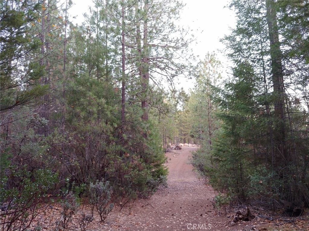 11254 Airstrip Road Middletown, CA 95461 - Photo 28 of 35