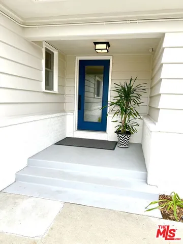 a potted plant sitting on the side of a building