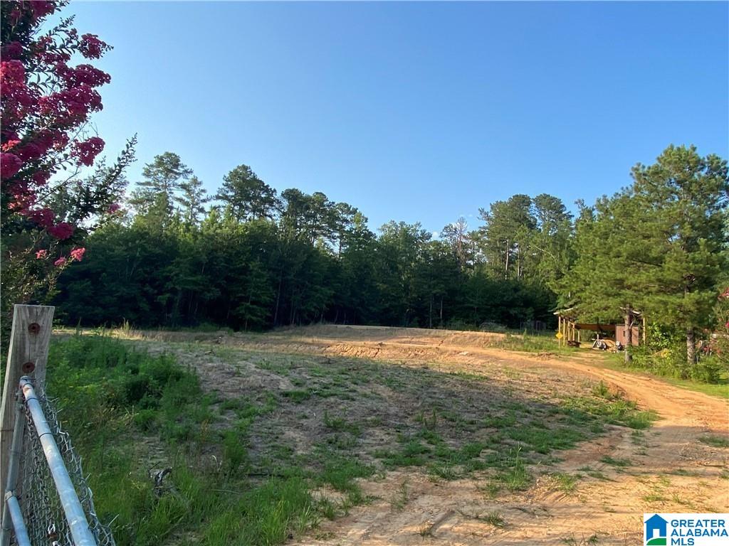 3025 Potato Patch Creek Road Marion, AL 36756 - Photo 14 of 24