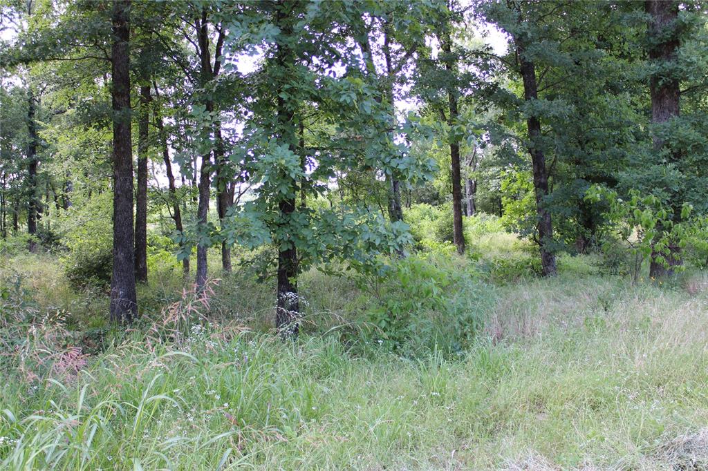 116 Lakeview Trail Mabank, TX 75147 - Photo 7 of 13 Wooded lot featuring mature trees and natural vegetation