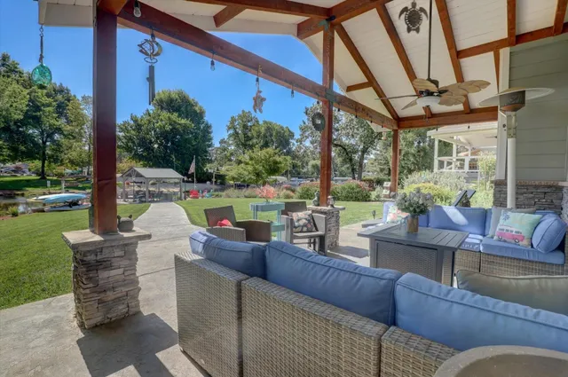 a view of a lush green forest