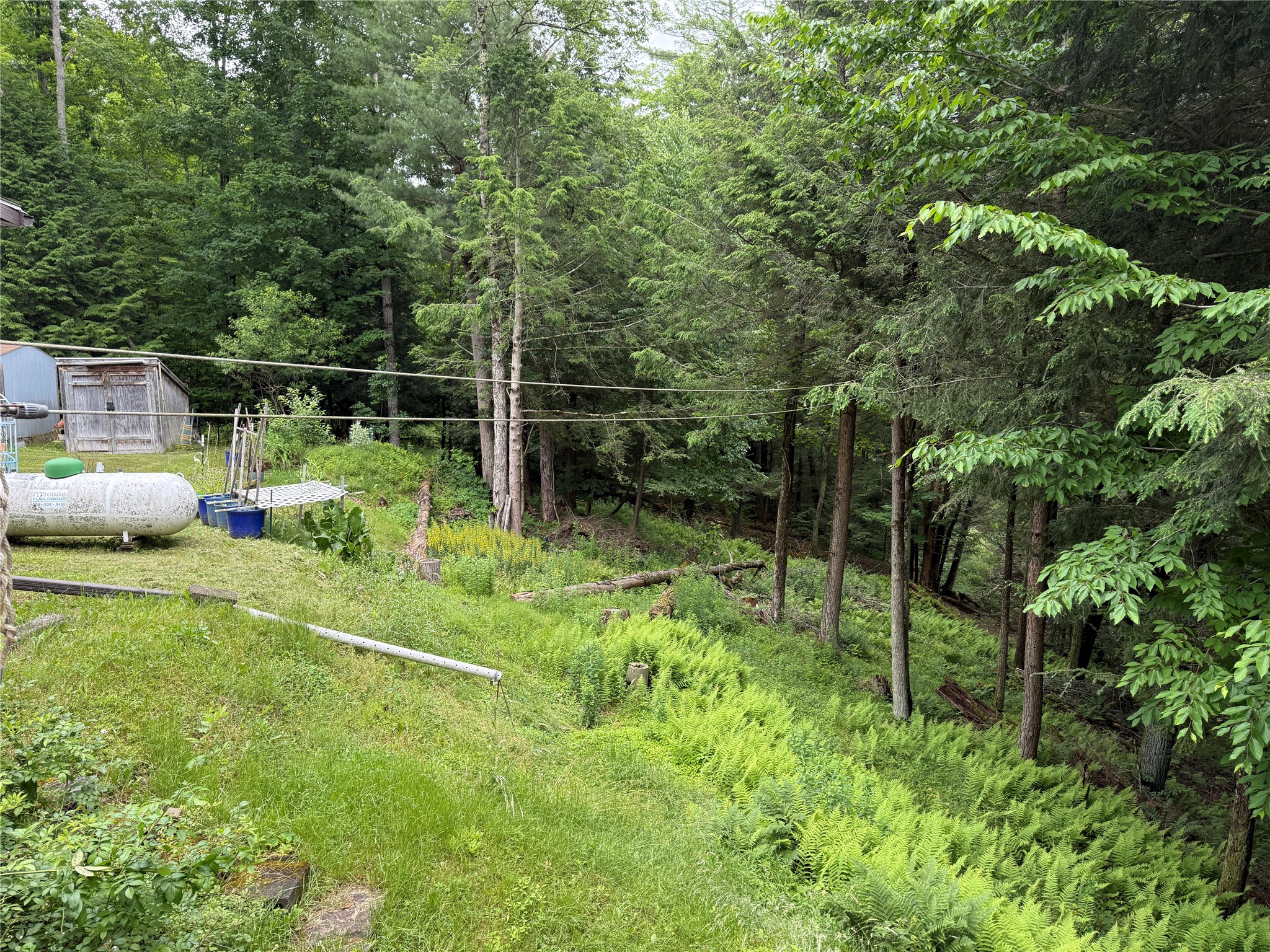 624 Blatchley Road Windsor, NY 13865 - Photo 28 of 34