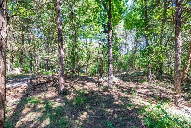 $835,000 | 1101 Foxfire Lane, Bedford, VA 24523