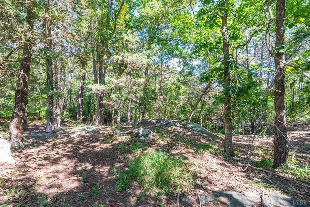 $835,000 | 1101 Foxfire Lane, Bedford, VA 24523