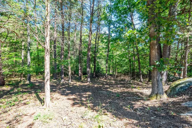 $835,000 | 1101 Foxfire Lane, Bedford, VA 24523