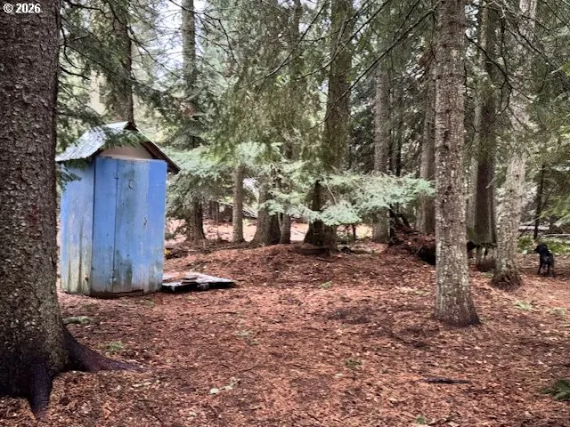 a view of a house with a yard covered in snow