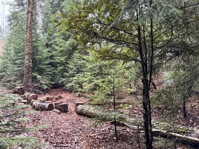 a view of a backyard of the house