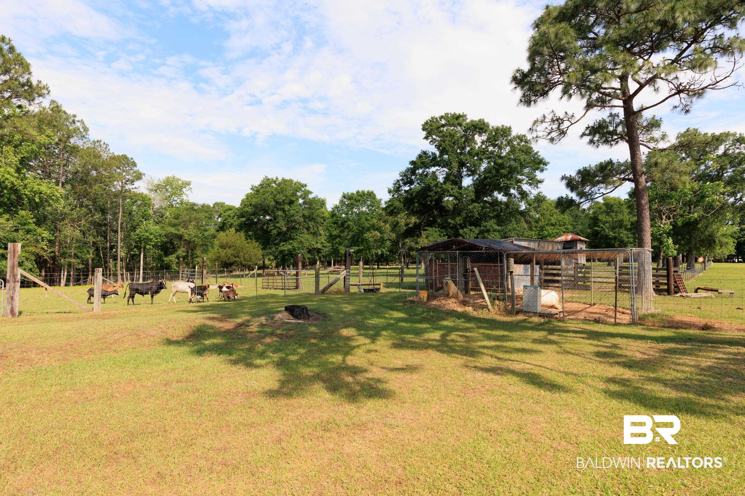 6725 Upper Creek Road Flomaton, AL 36441 - Photo 14 of 61 View of yard featuring an outdoor structure and a rural view