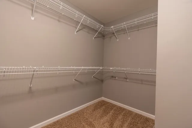 a view of a room with racks on the wall