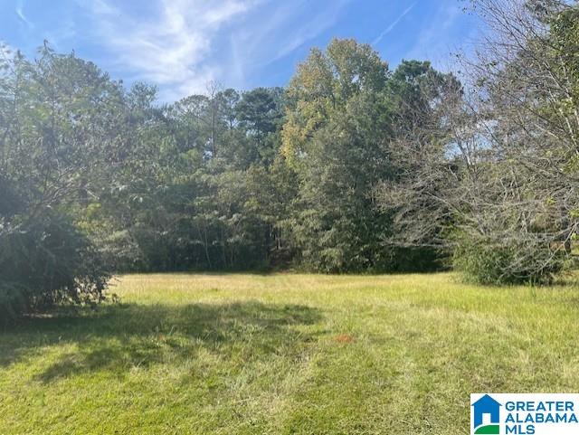 240 Blue Bird Lane, Unit 1 Alpine, AL 35014 - Photo 1 of 3