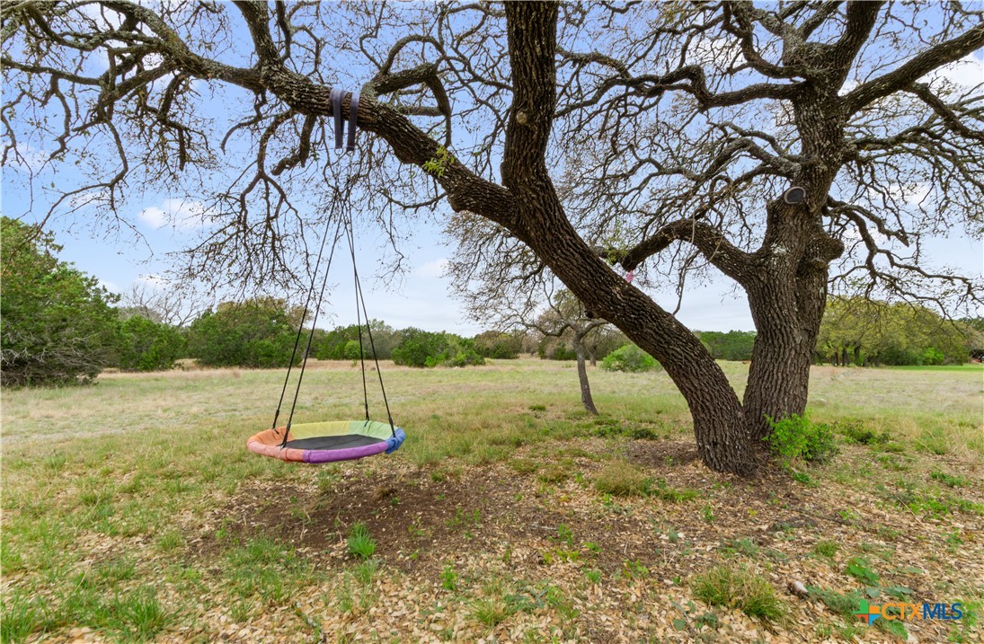 932 Whitetail Ridge Drive Kempner, TX 76539 - Photo 24 of 29 Tree Swing