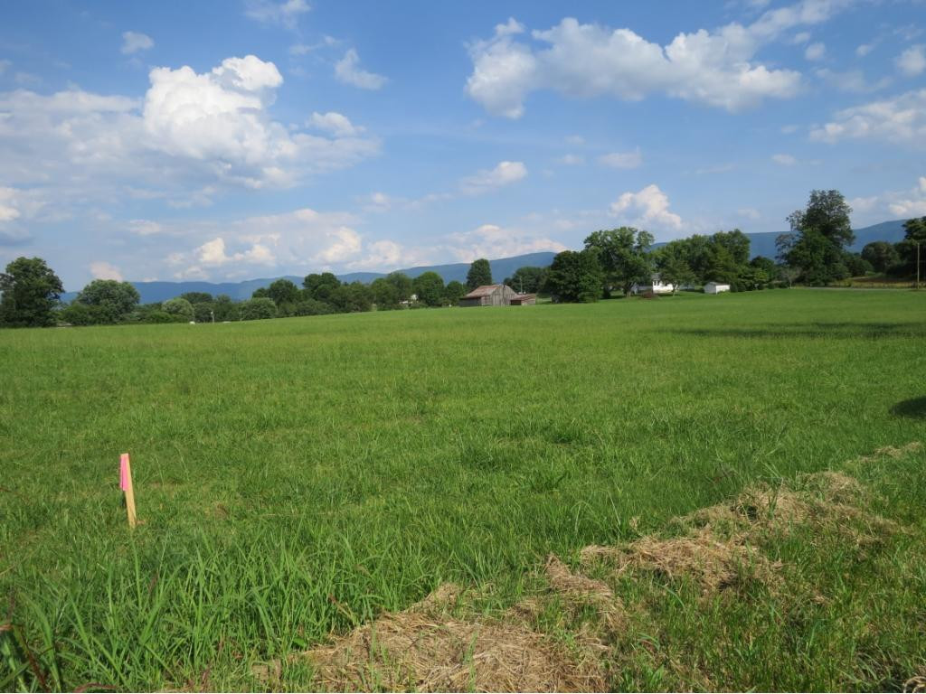 Tbd Peoples Road Bristol, TN 37620 - Photo 1 of 1 Photo 1