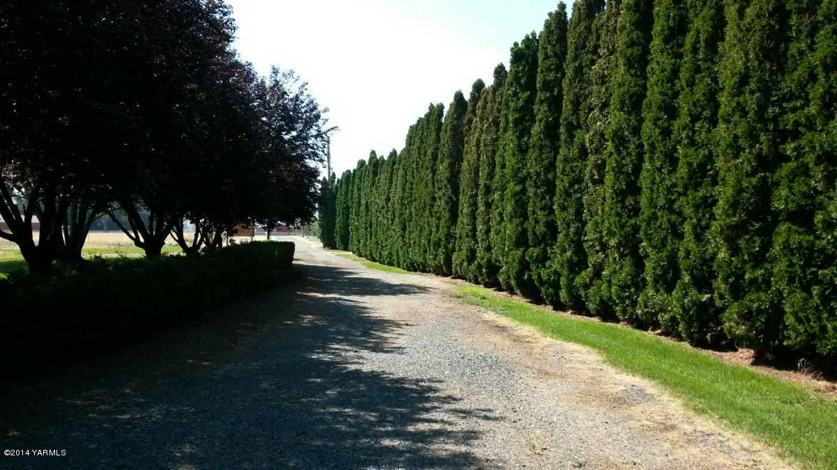 151 West Huntzinger Road Selah, WA 98942 - Photo 27 of 44 a view of a yard