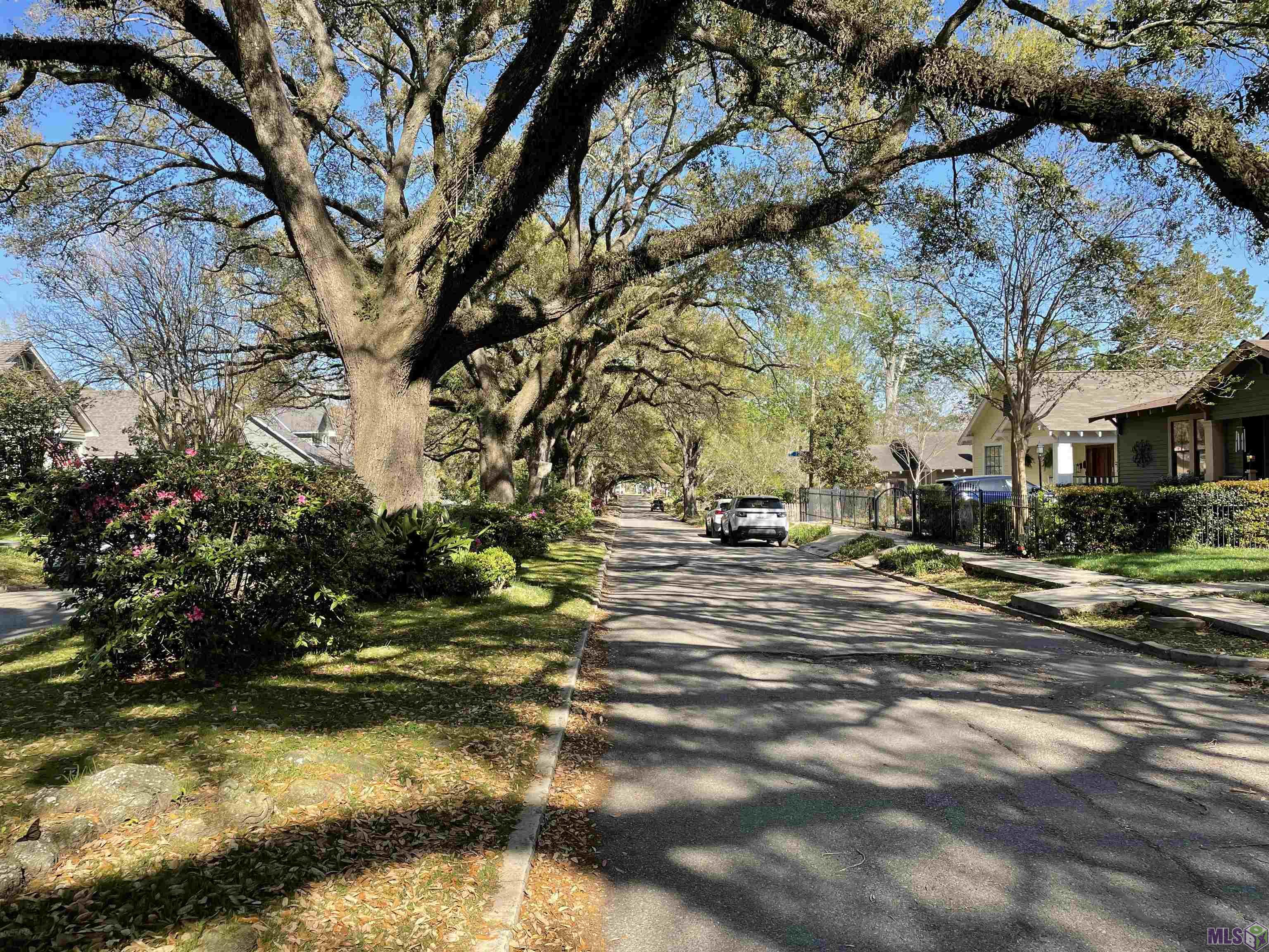 2166 Cherokee Street Baton Rouge, LA 70806 - Photo 3 of 14 tree lined street