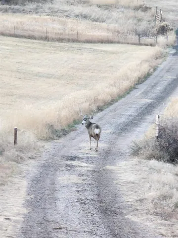 $400,000 | 940 South Co Road 29, Loveland, CO 80537