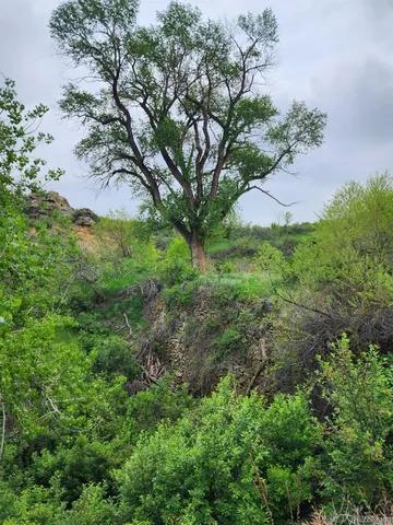 $400,000 | 940 South Co Road 29, Loveland, CO 80537