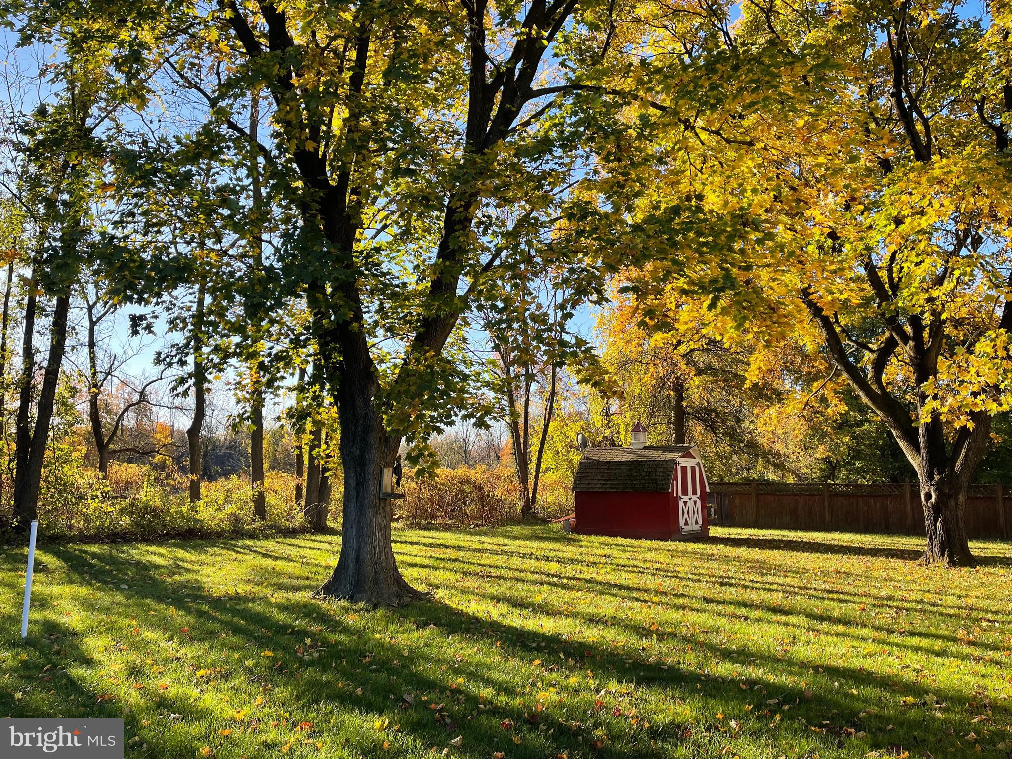 2 Cedar Lane Pemberton, NJ 08068 - Photo 52 of 56 a big room with trees