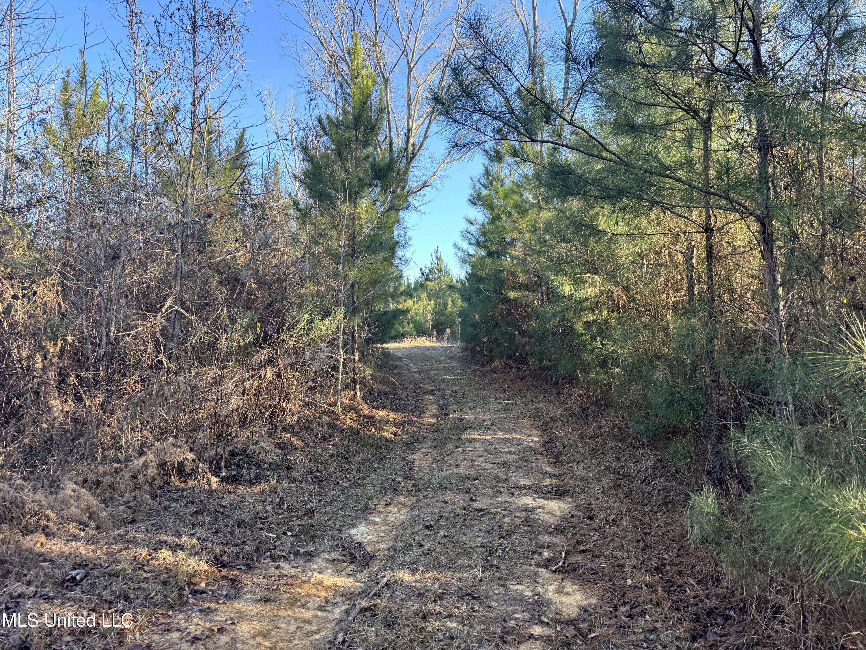 6573 Highway 567 Liberty, MS 39645 - Photo 11 of 50 9