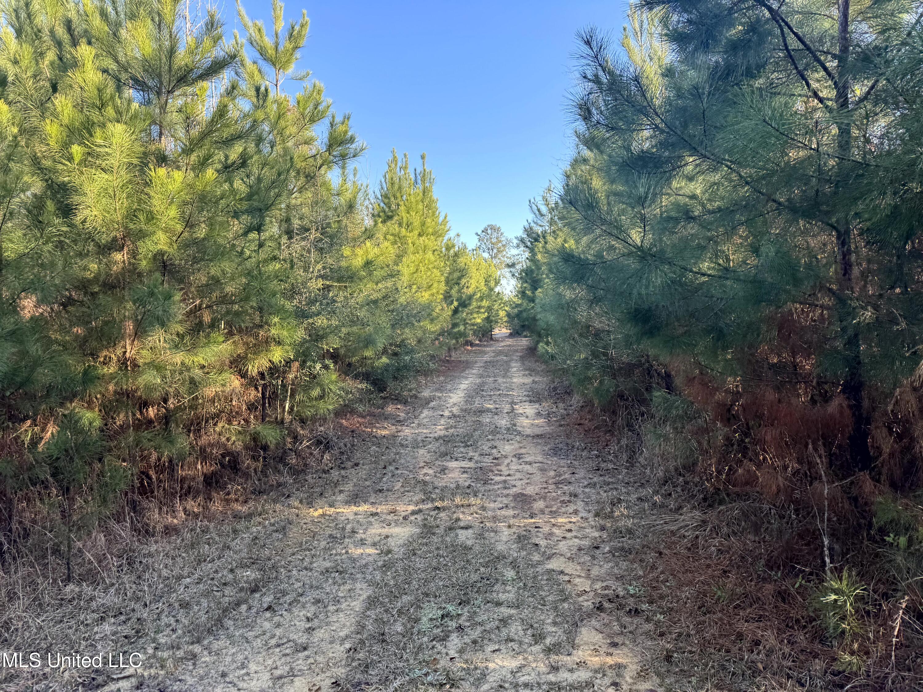 6573 Highway 567 Liberty, MS 39645 - Photo 14 of 50 12