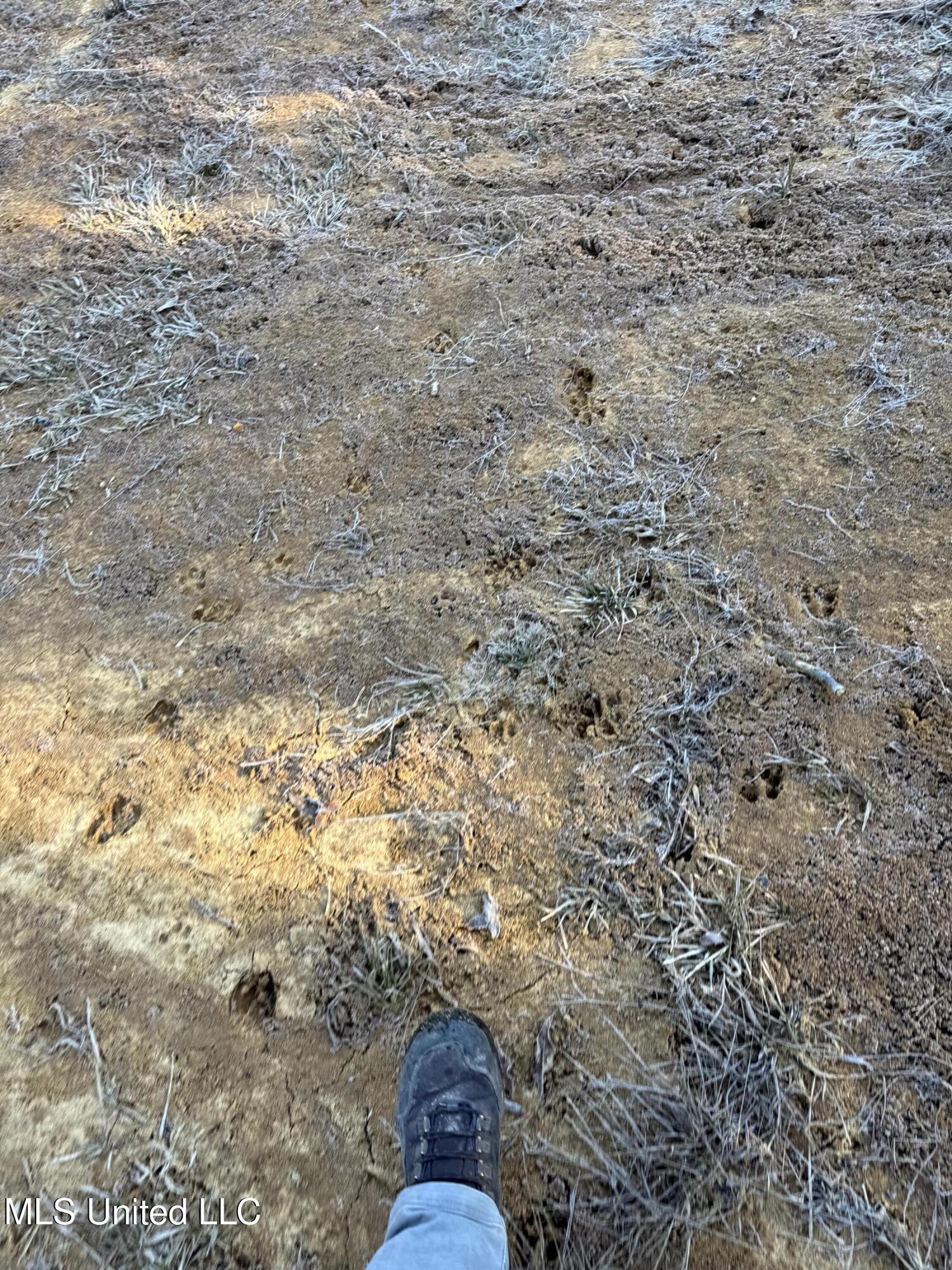 6573 Highway 567 Liberty, MS 39645 - Photo 15 of 50 13