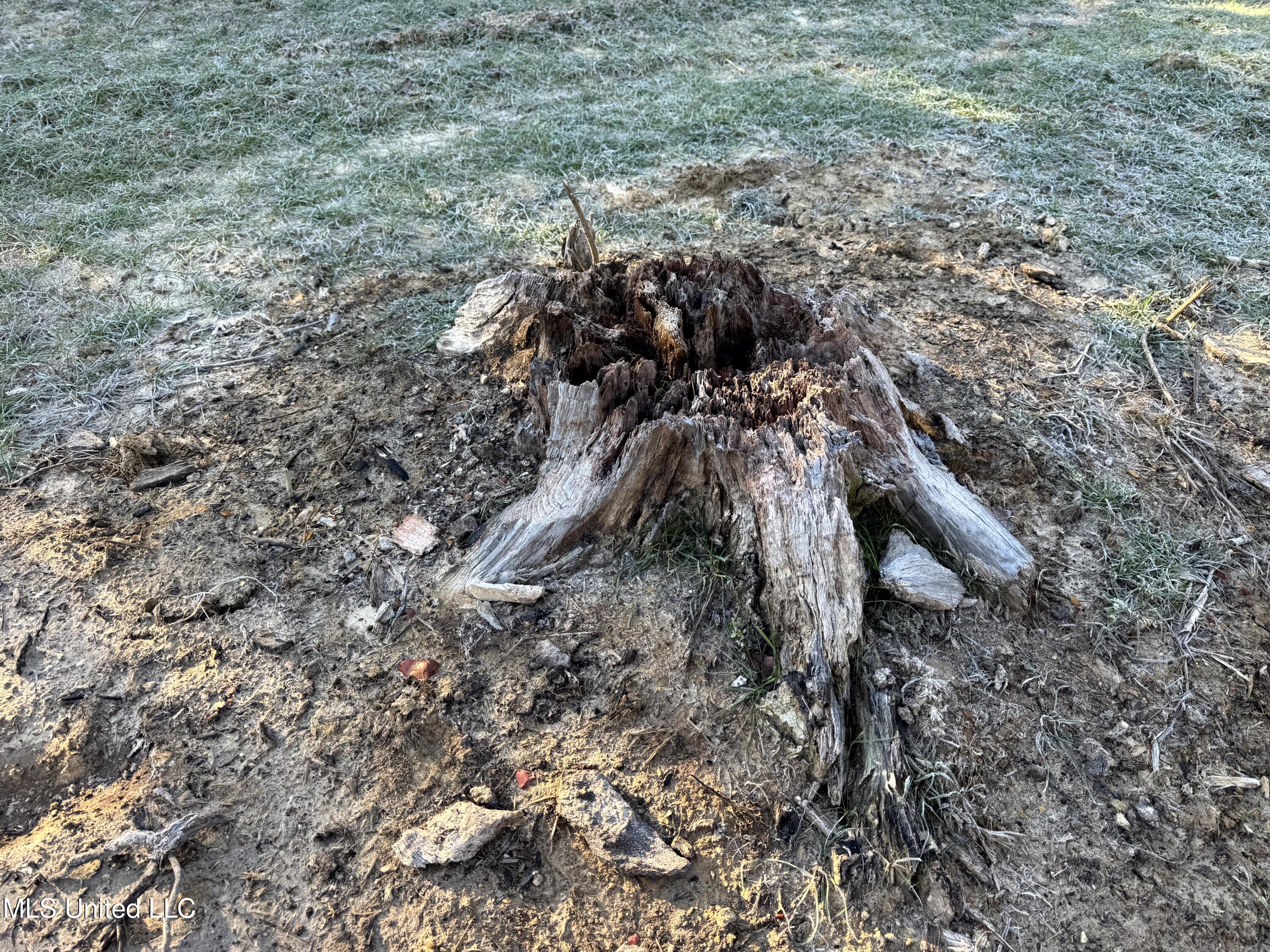 6573 Highway 567 Liberty, MS 39645 - Photo 18 of 50 16