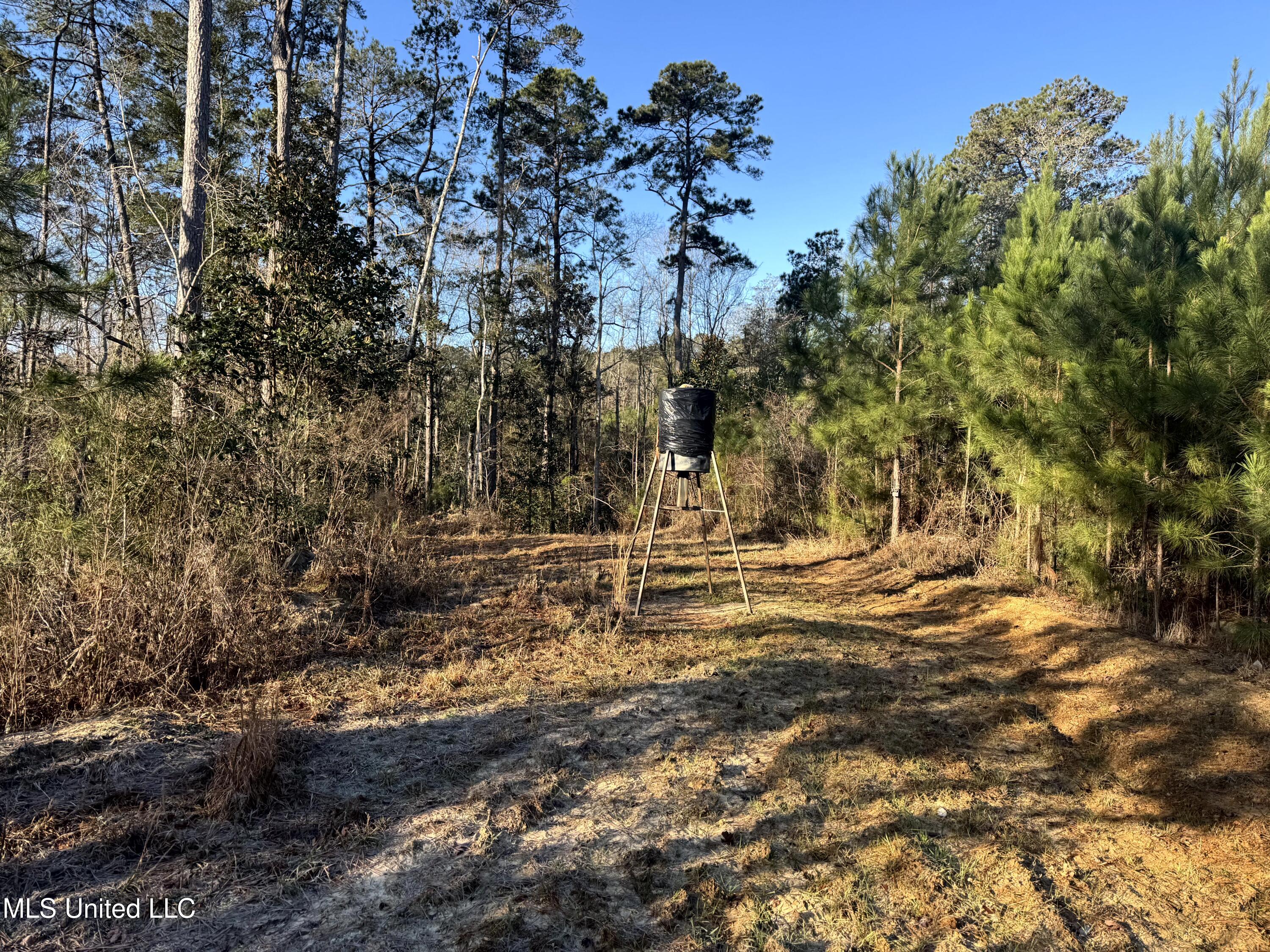 6573 Highway 567 Liberty, MS 39645 - Photo 19 of 50 17