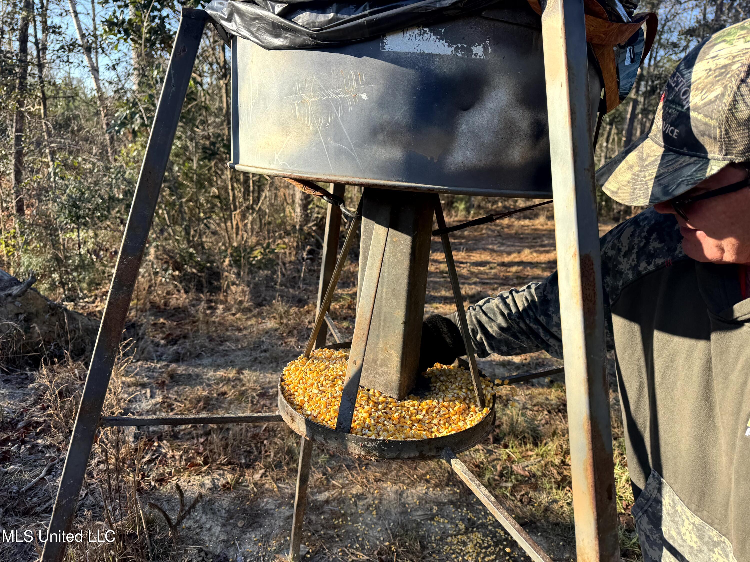 6573 Highway 567 Liberty, MS 39645 - Photo 20 of 50 18