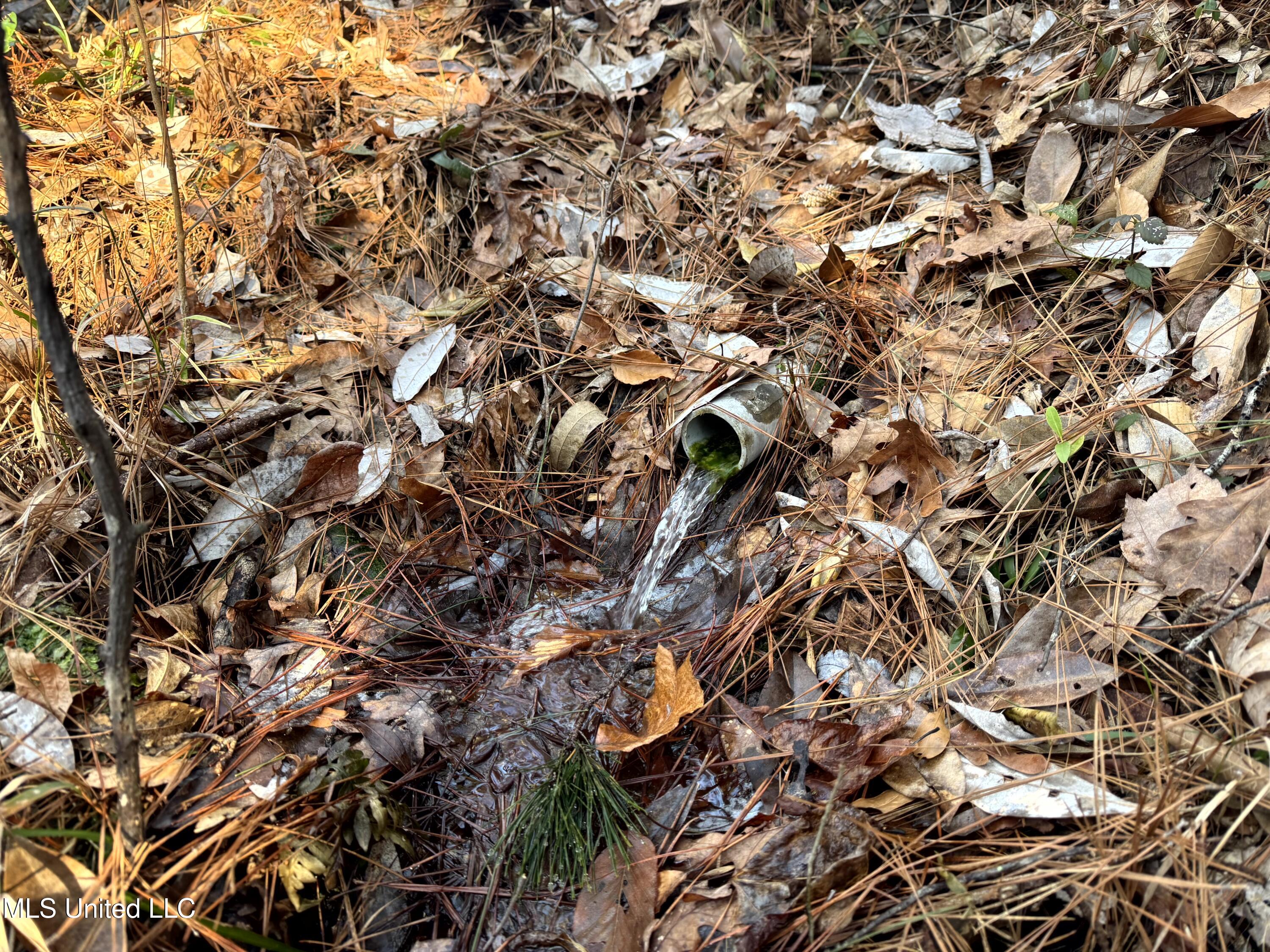 6573 Highway 567 Liberty, MS 39645 - Photo 21 of 50 20