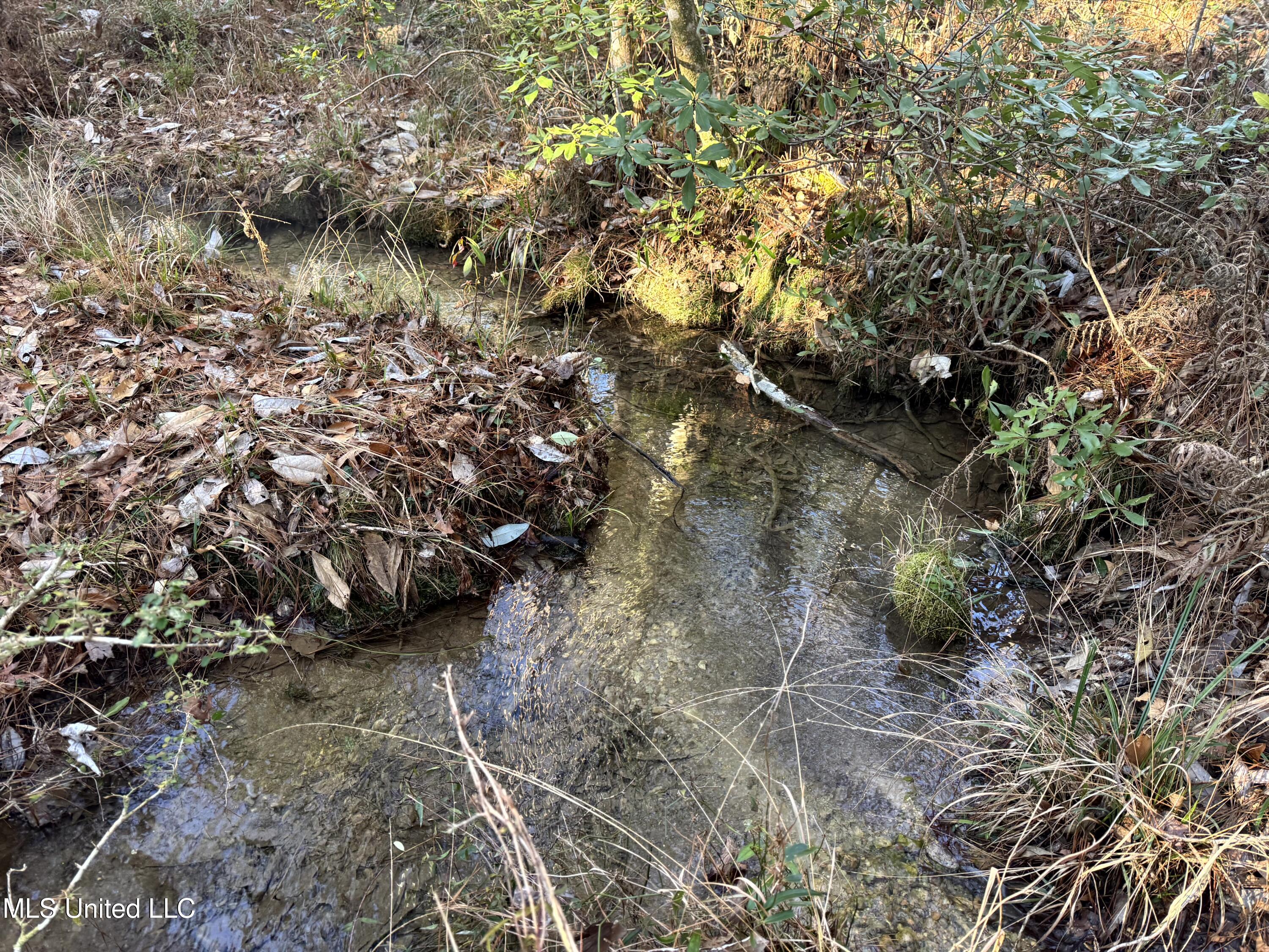 6573 Highway 567 Liberty, MS 39645 - Photo 22 of 50 21