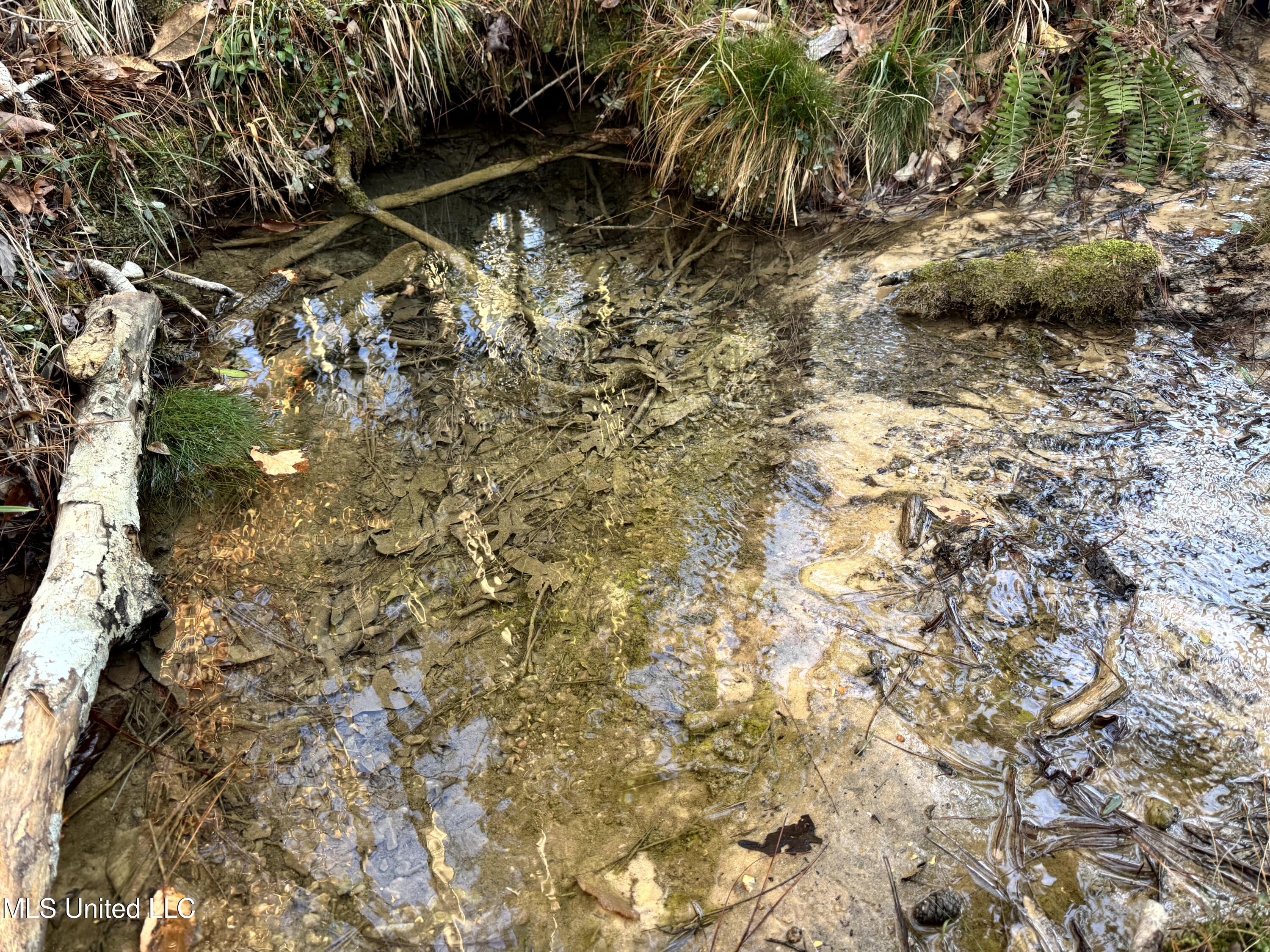 6573 Highway 567 Liberty, MS 39645 - Photo 23 of 50 22