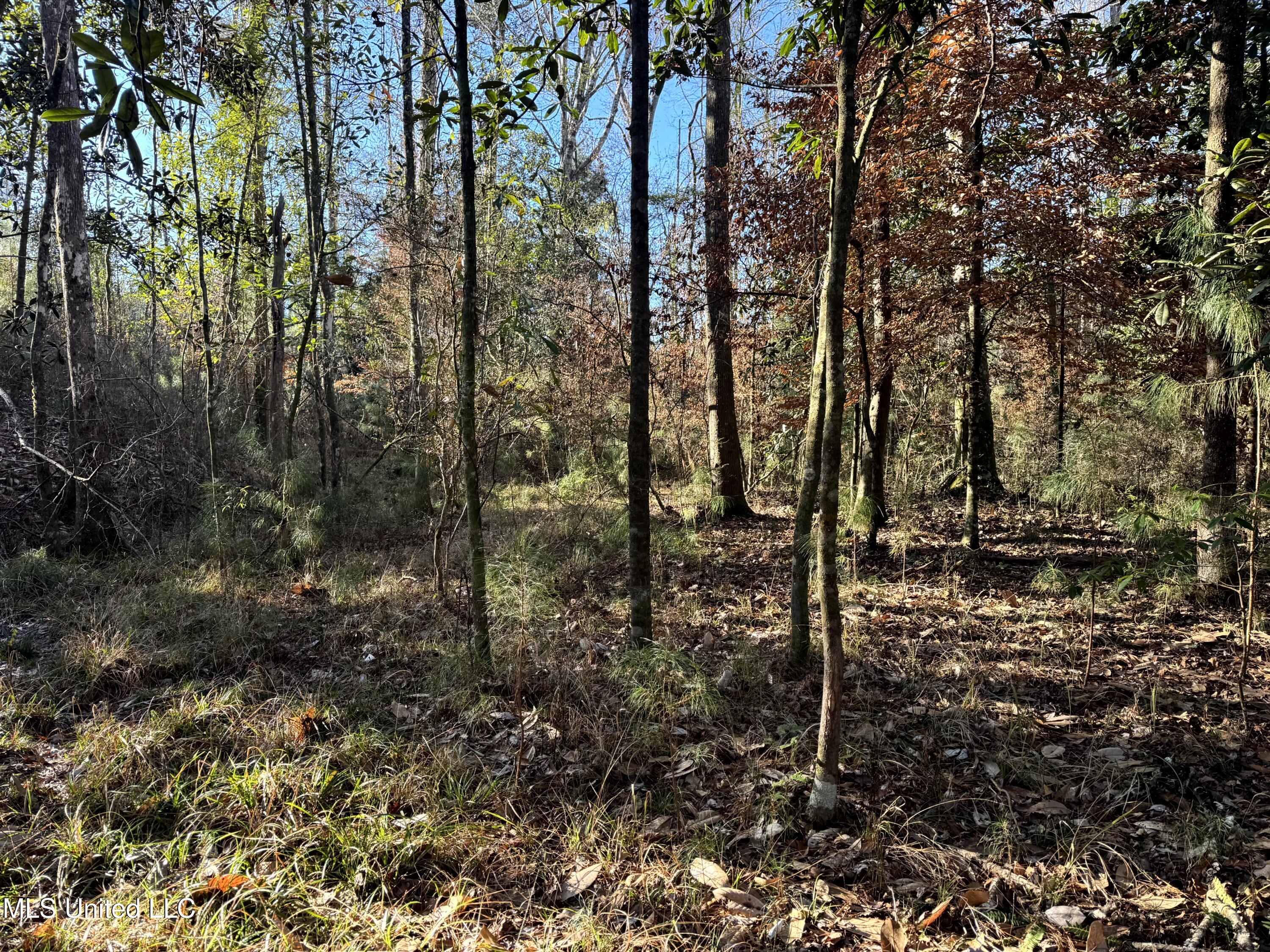 6573 Highway 567 Liberty, MS 39645 - Photo 24 of 50 23