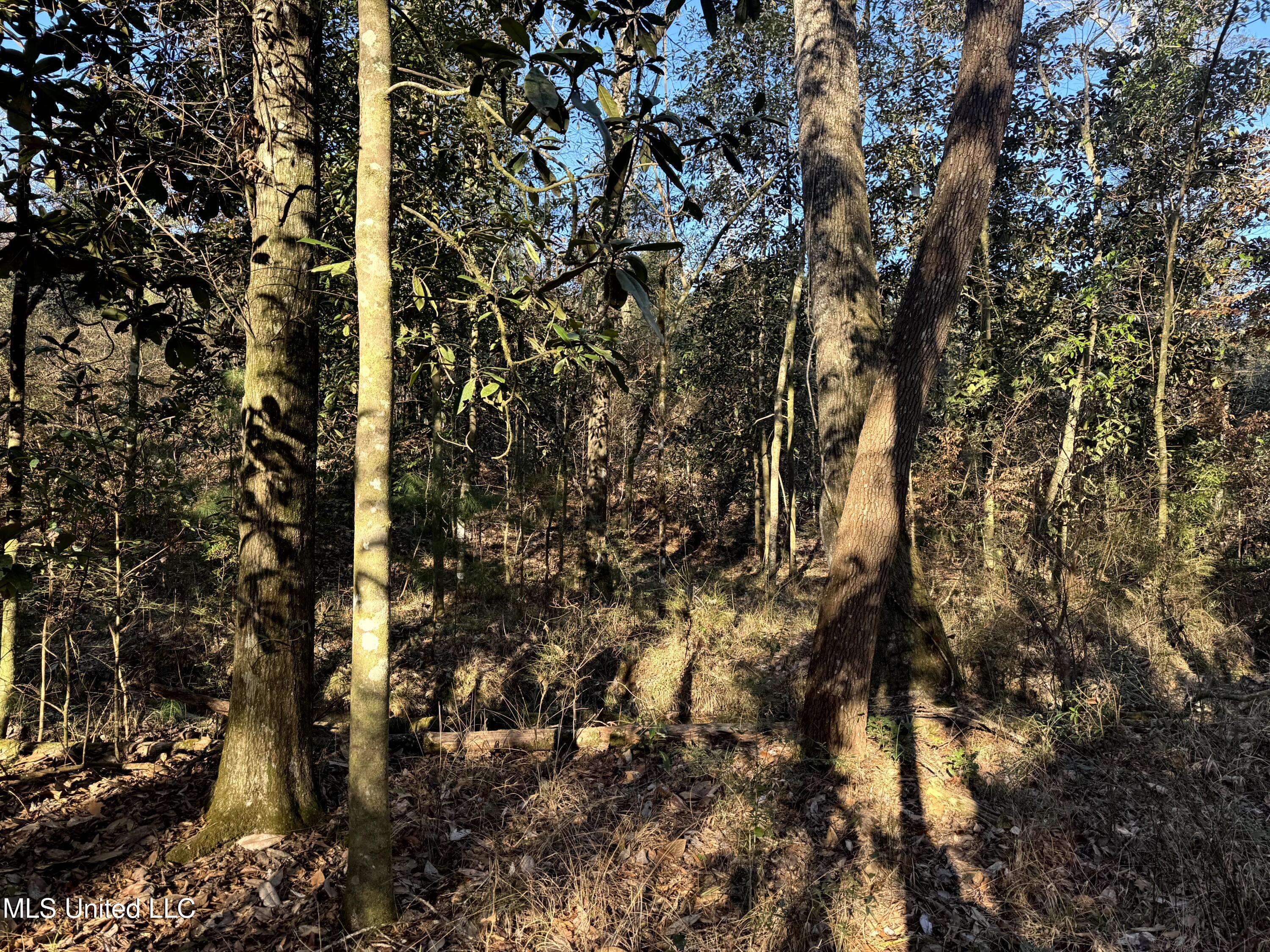 6573 Highway 567 Liberty, MS 39645 - Photo 25 of 50 24