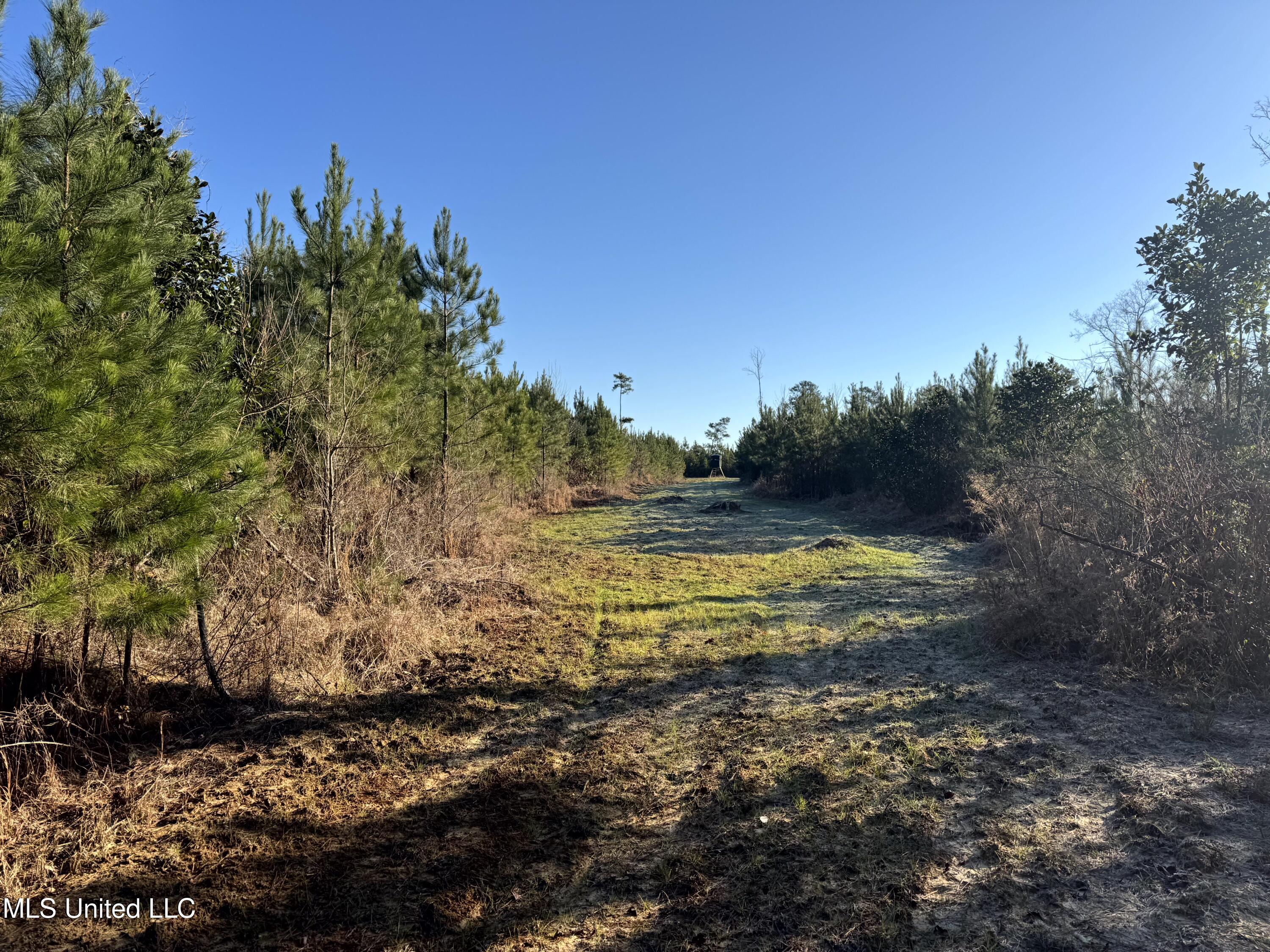 6573 Highway 567 Liberty, MS 39645 - Photo 26 of 50 25
