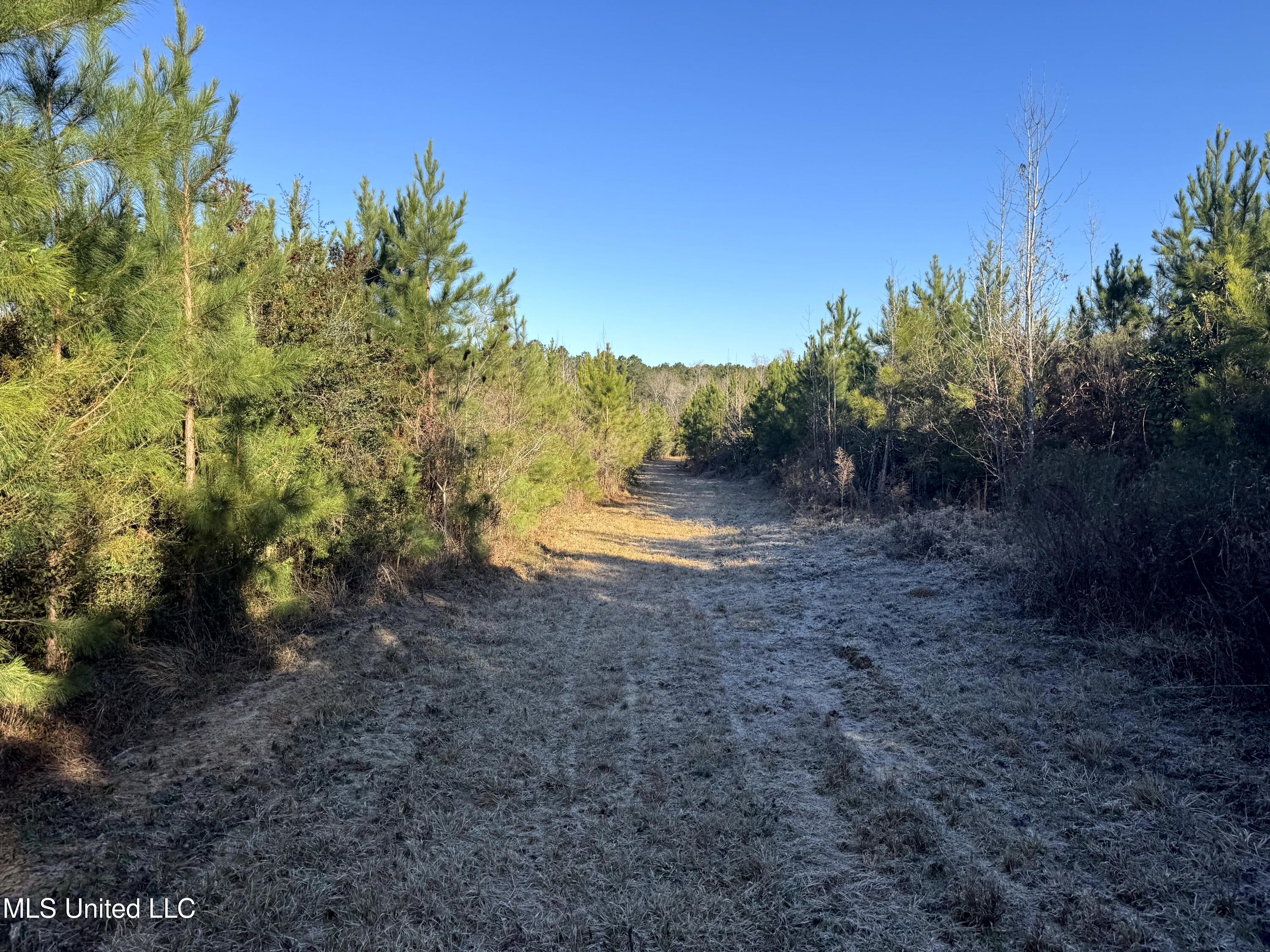 6573 Highway 567 Liberty, MS 39645 - Photo 28 of 50 28
