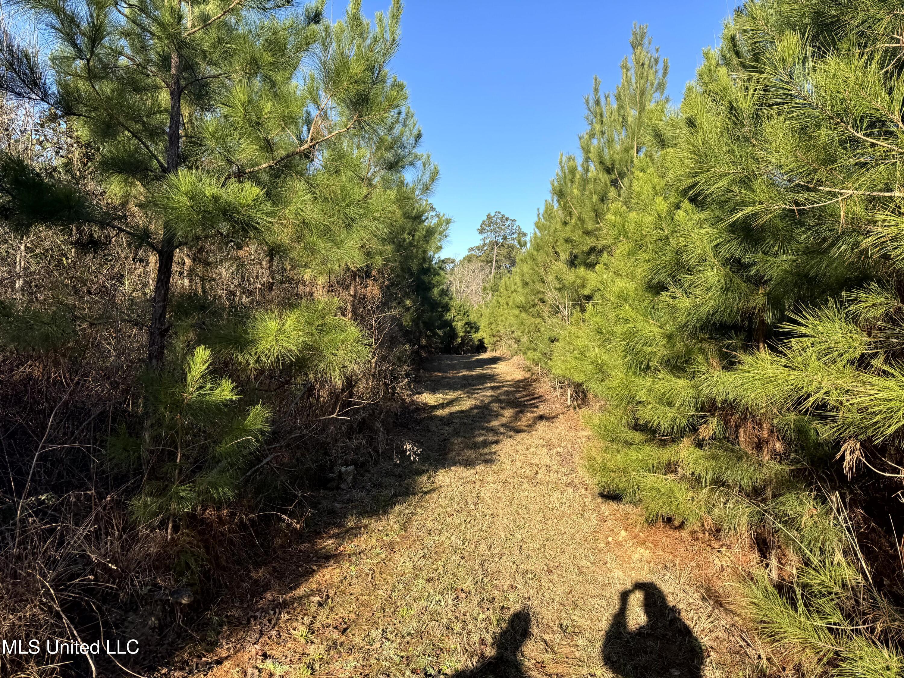 6573 Highway 567 Liberty, MS 39645 - Photo 29 of 50 29