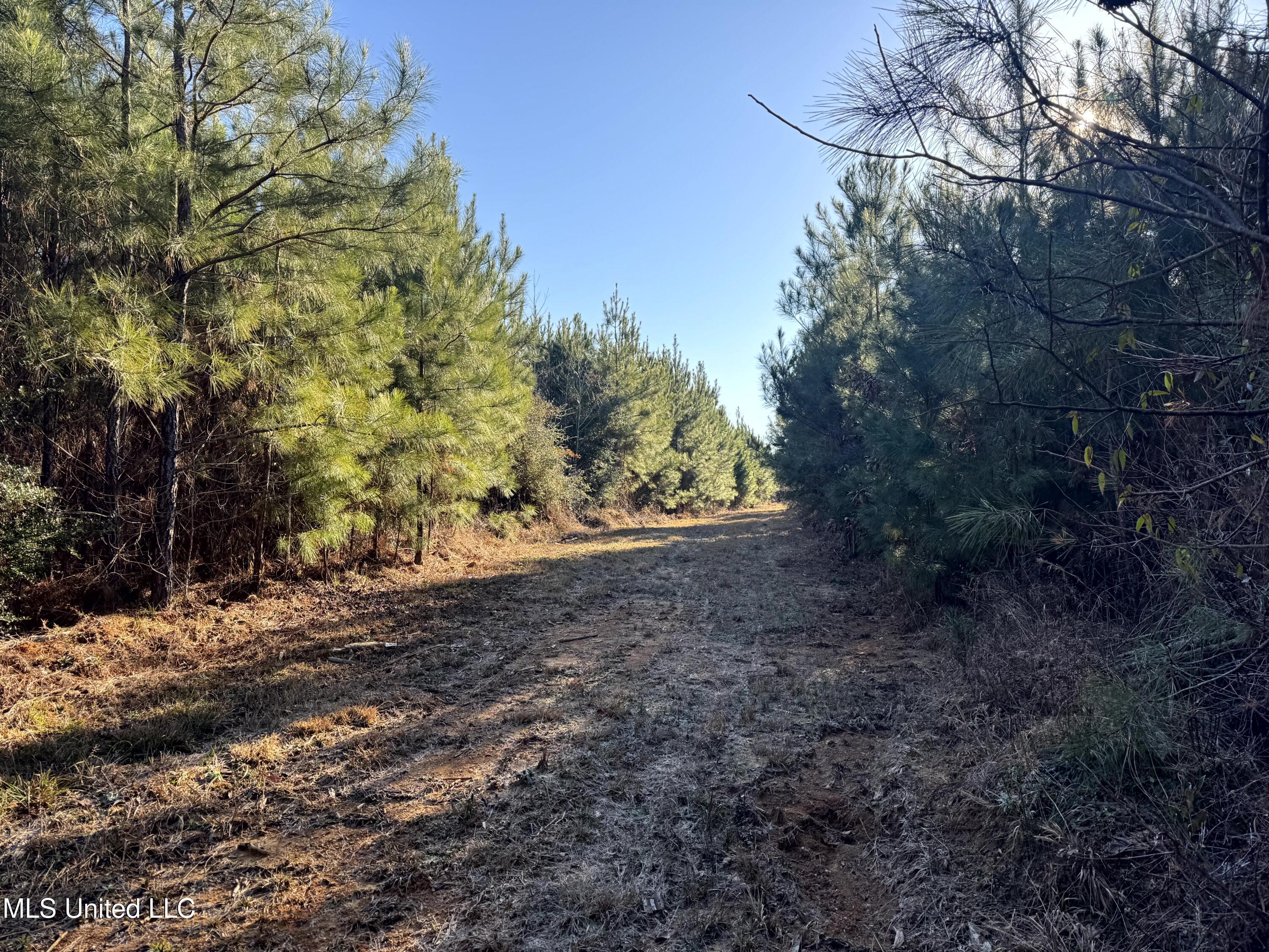 6573 Highway 567 Liberty, MS 39645 - Photo 30 of 50 31