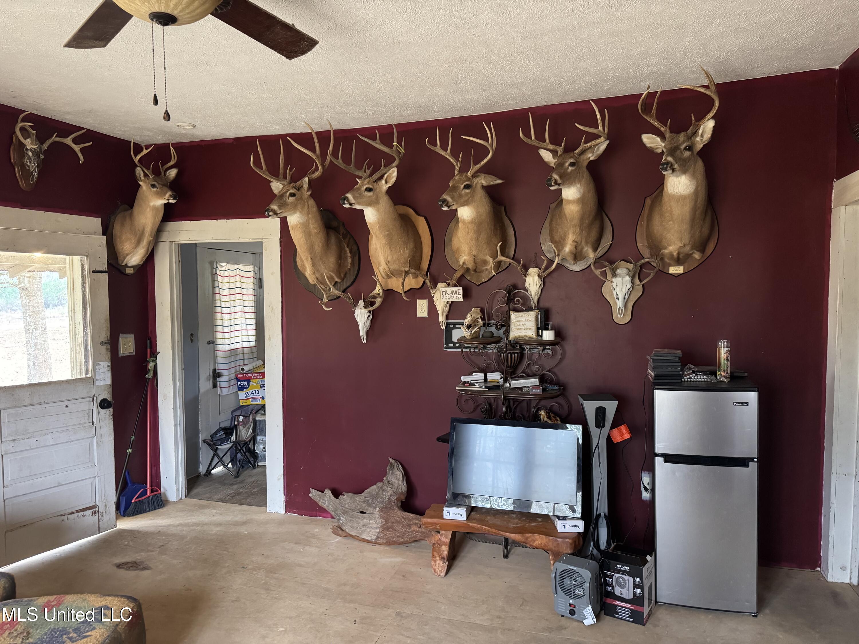 6573 Highway 567 Liberty, MS 39645 - Photo 3 of 50 IMG_6772