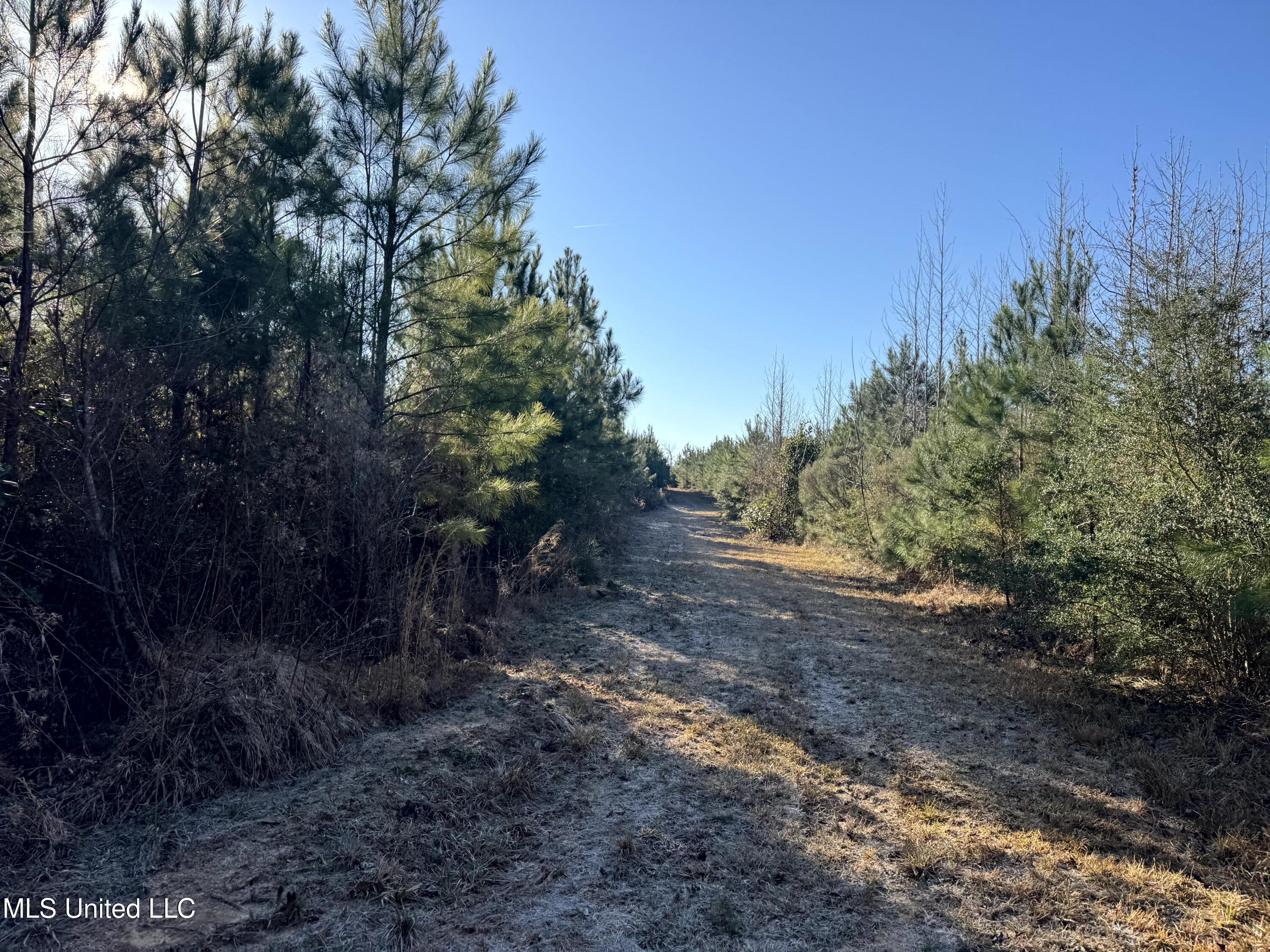 6573 Highway 567 Liberty, MS 39645 - Photo 31 of 50 32