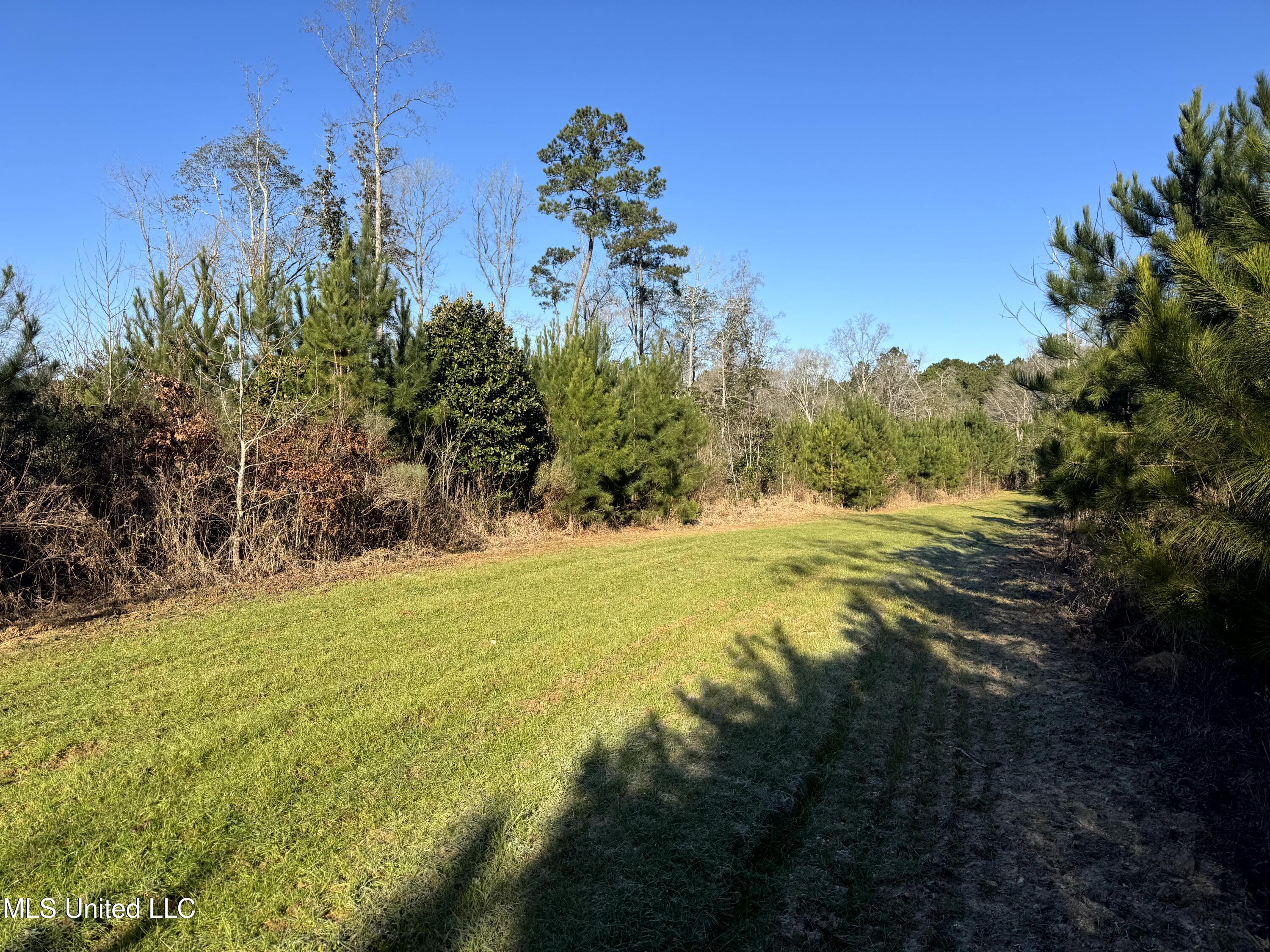 6573 Highway 567 Liberty, MS 39645 - Photo 34 of 50 37