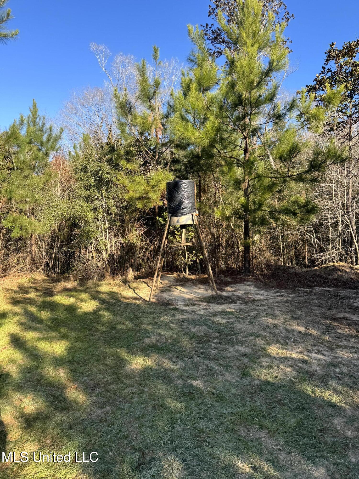 6573 Highway 567 Liberty, MS 39645 - Photo 35 of 50 38