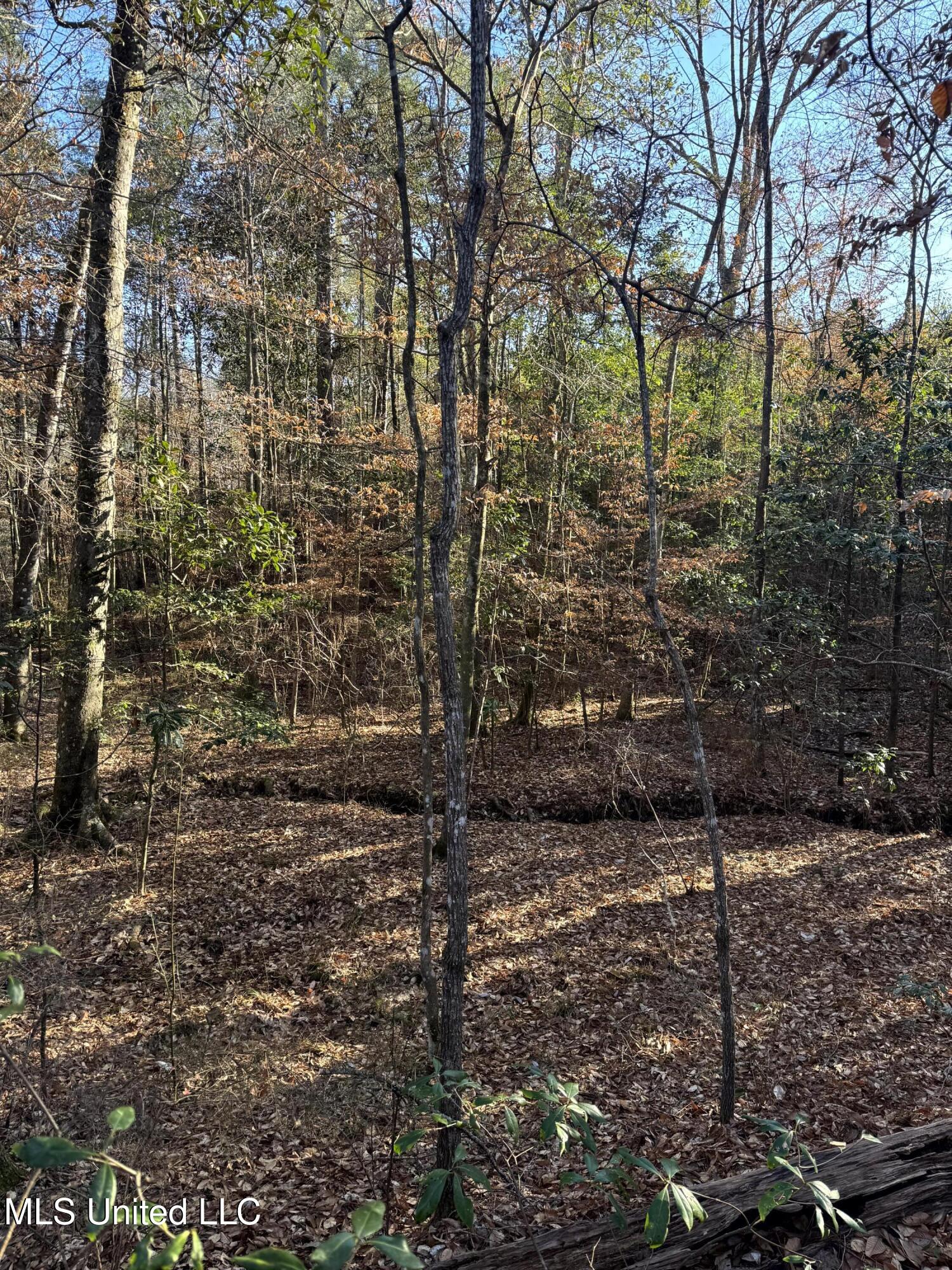 6573 Highway 567 Liberty, MS 39645 - Photo 37 of 50 41