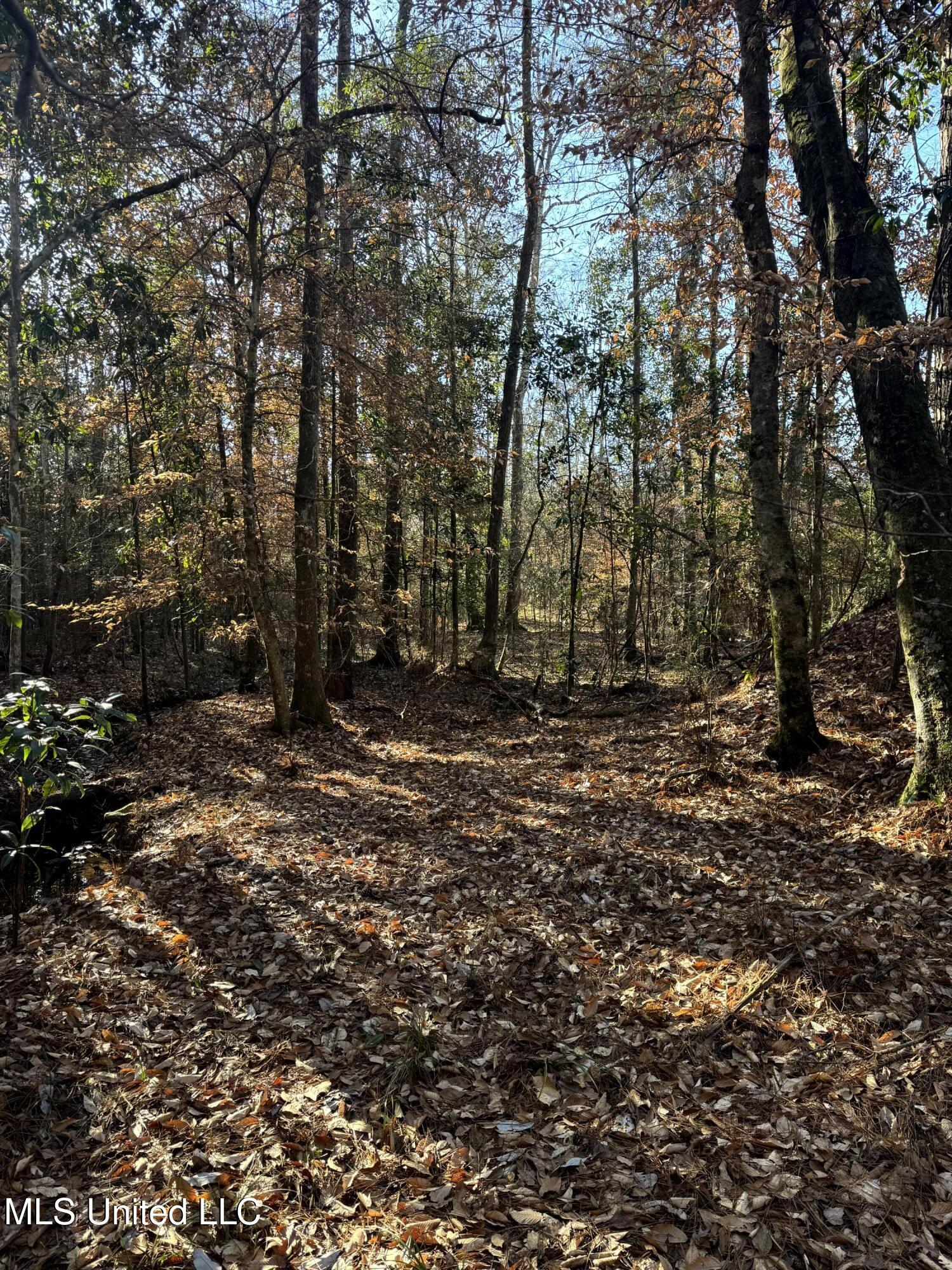 6573 Highway 567 Liberty, MS 39645 - Photo 38 of 50 42