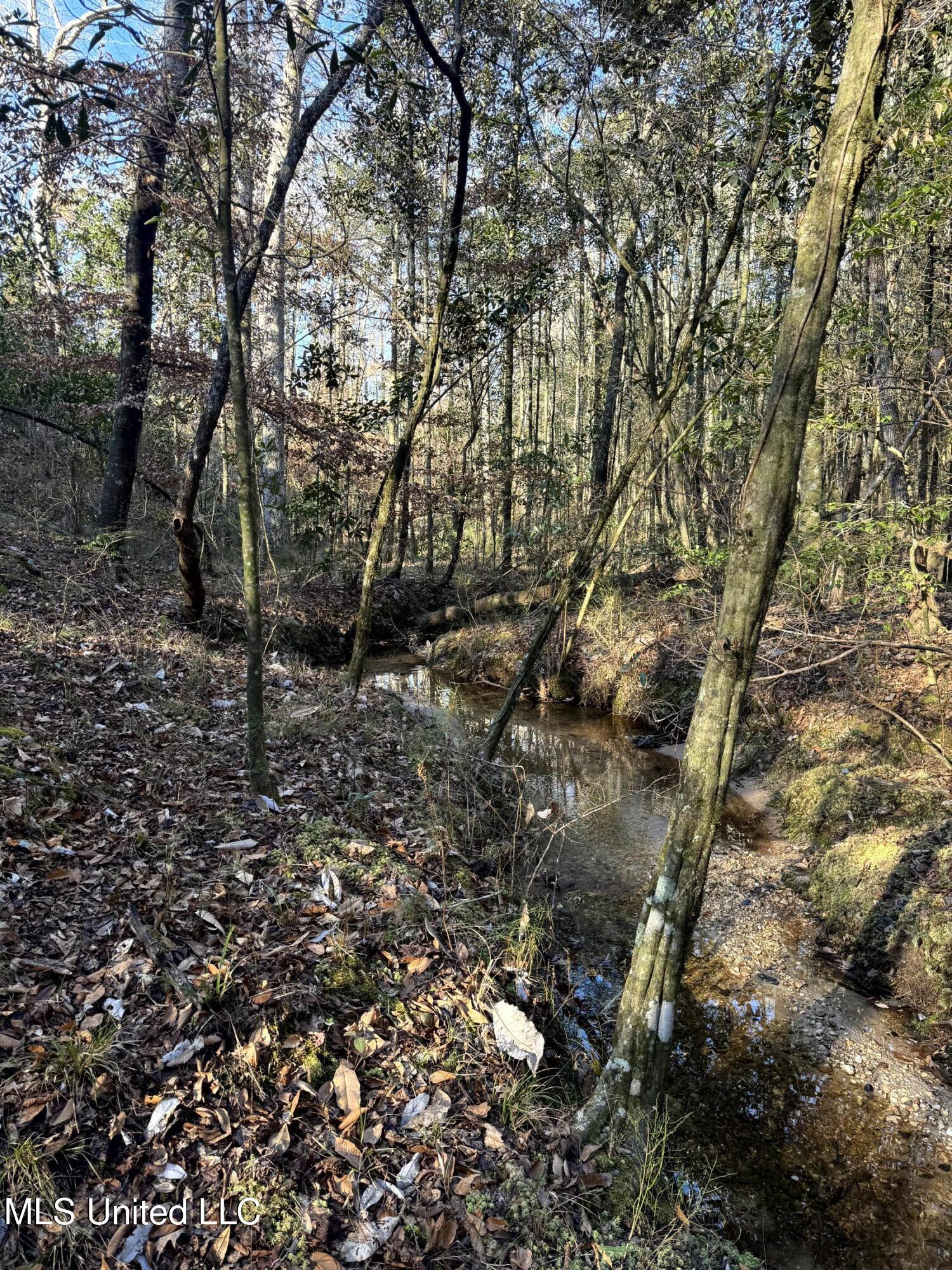 6573 Highway 567 Liberty, MS 39645 - Photo 39 of 50 43