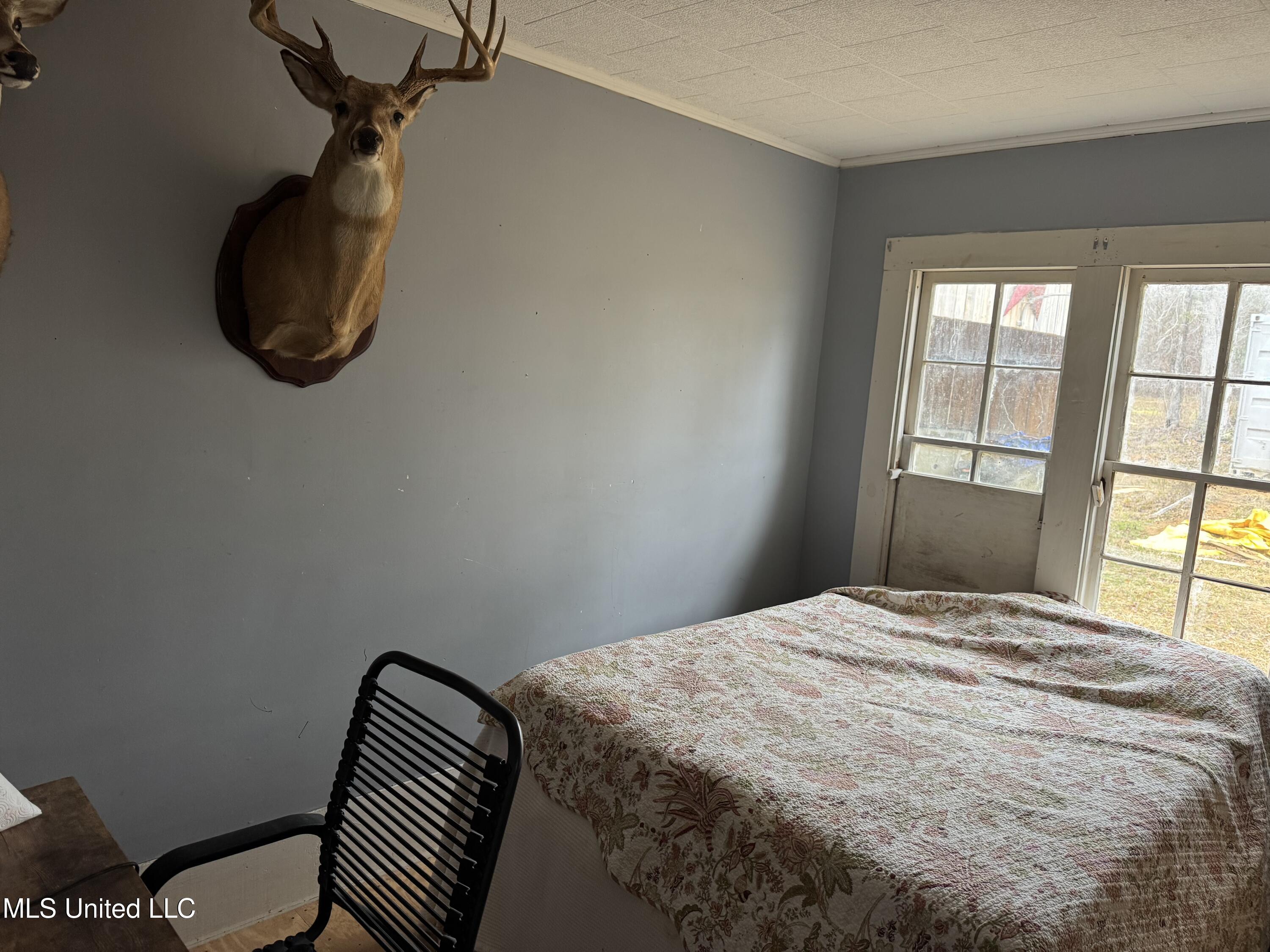 6573 Highway 567 Liberty, MS 39645 - Photo 4 of 50 IMG_6767